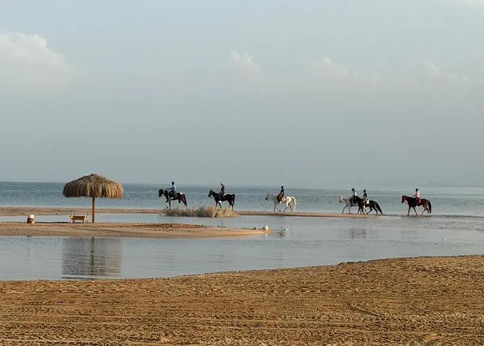 بيت للعطل Lovely Sweet Somabay By Faramawy الغردقة