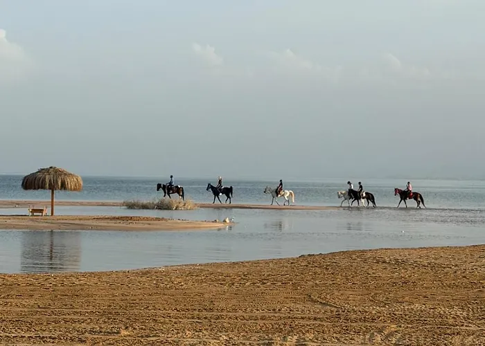 بيت للعطل Lovely Sweet Somabay By Faramawy