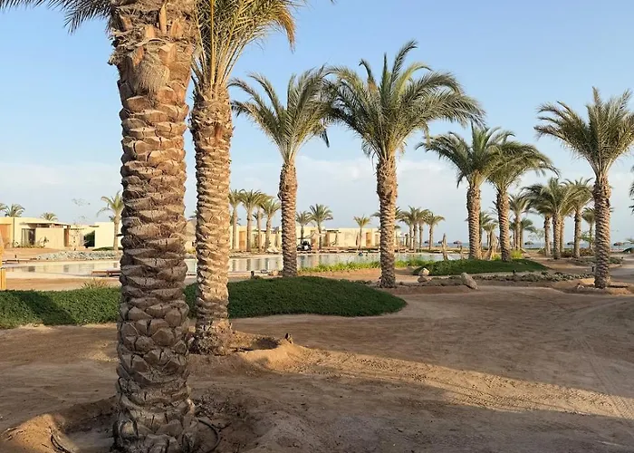 Lovely Sweet Somabay By Faramawy
